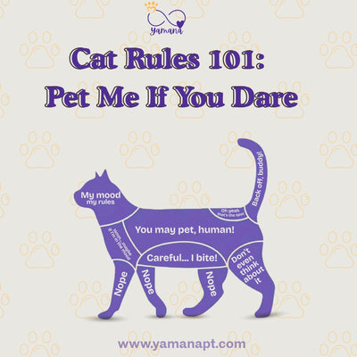 🐾 Cat Rules 101: Pet Me If You Dare 🐾