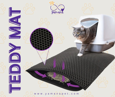 [Experience] How I Finally Stopped My Cat from Spreading Litter Everywhere (After Trying Literally Everything)