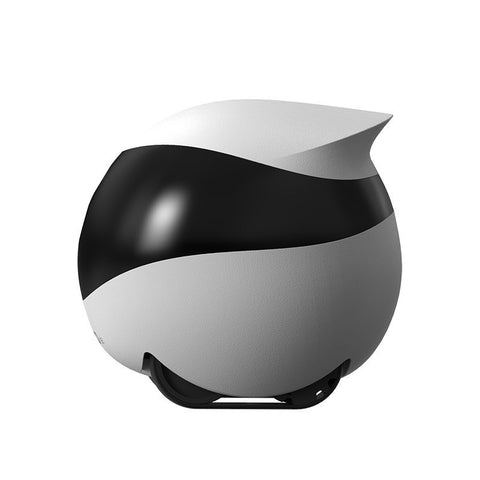 PawBot - SE Companion Cam