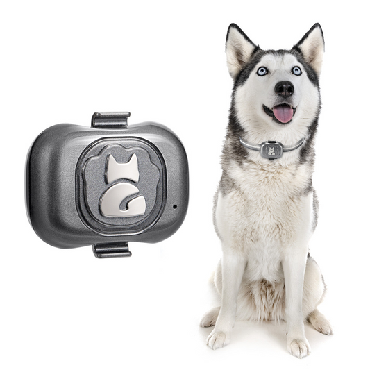 TrackPaw GPS Locator