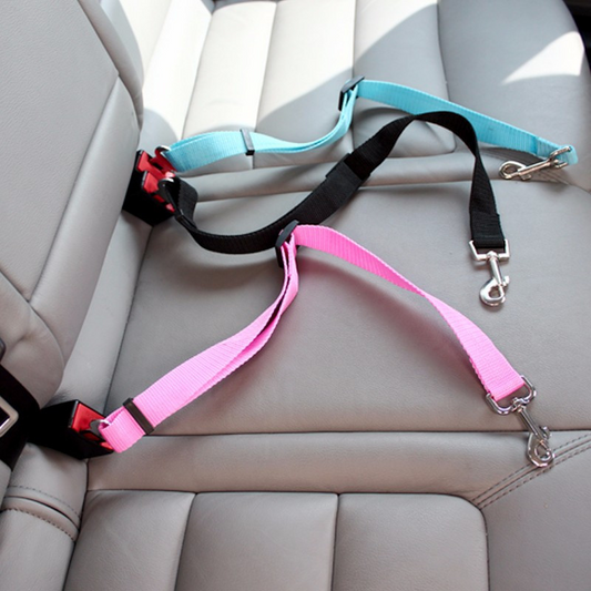 WanderPaws Safety Belt