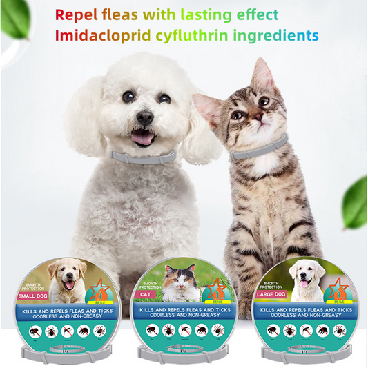 PawShield Anti-Flea Necklace