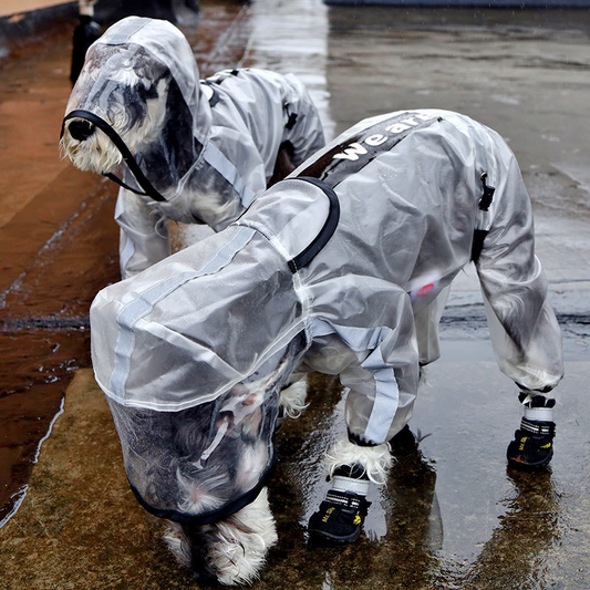 PuddlePup - Raincoat