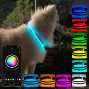 GlowTrail - Collar Set