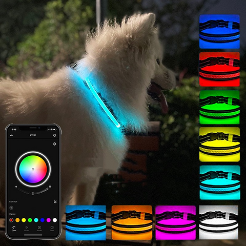 GlowTrail - Collar Set