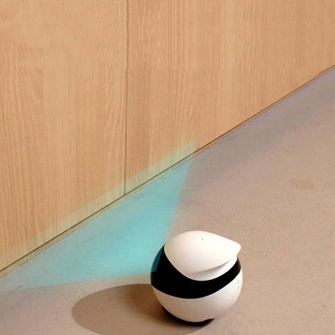 PawBot - SE Companion Cam