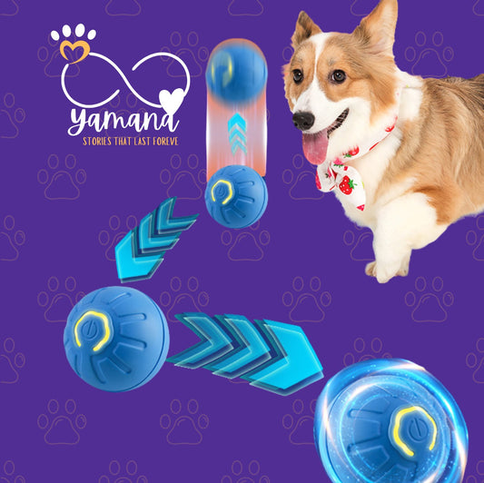 Smart Purr -Smart Toy Ball Electronic