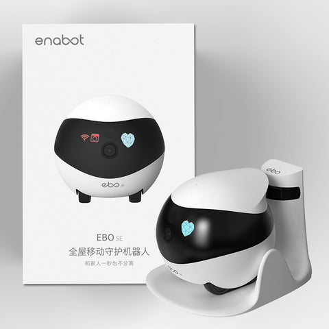 PawBot - SE Companion Cam