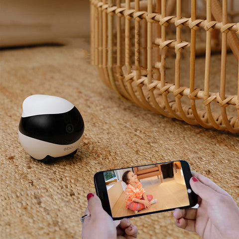 PawBot - SE Companion Cam